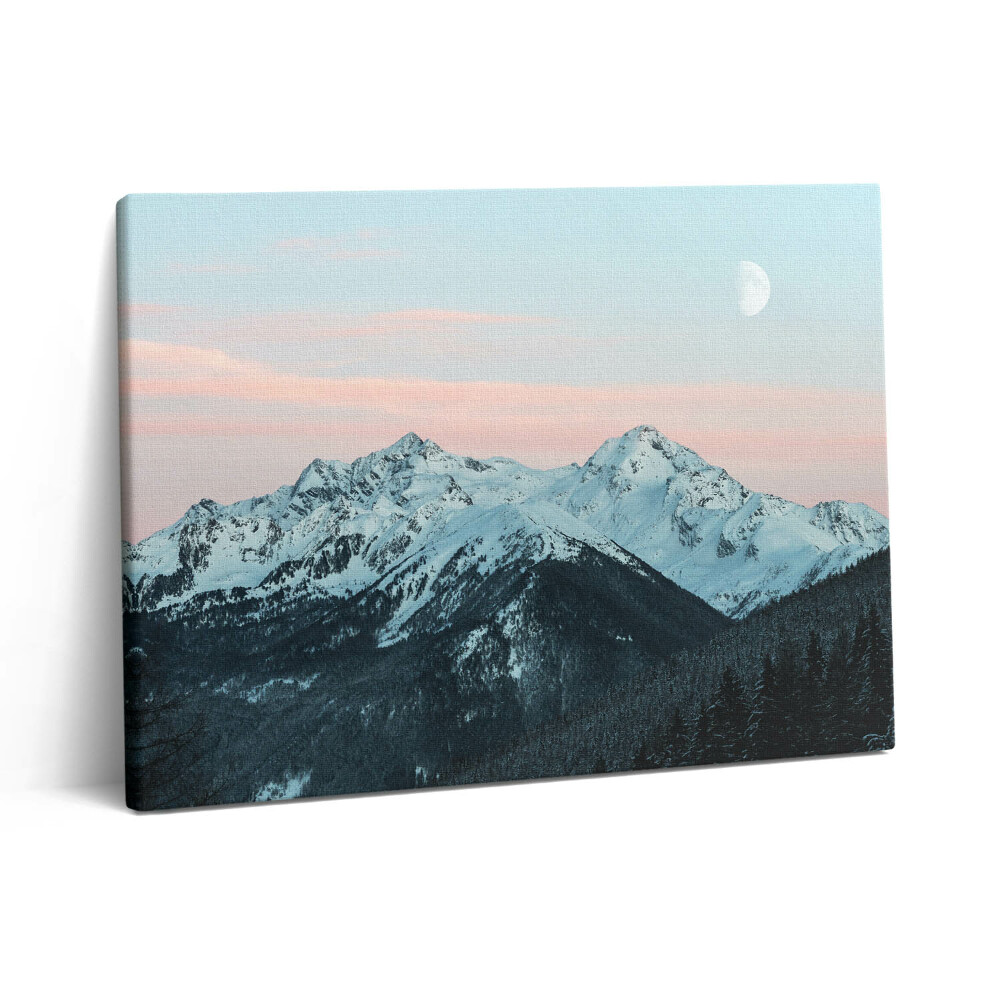 Vászonkép falra 80x60 Hegyvidék télen