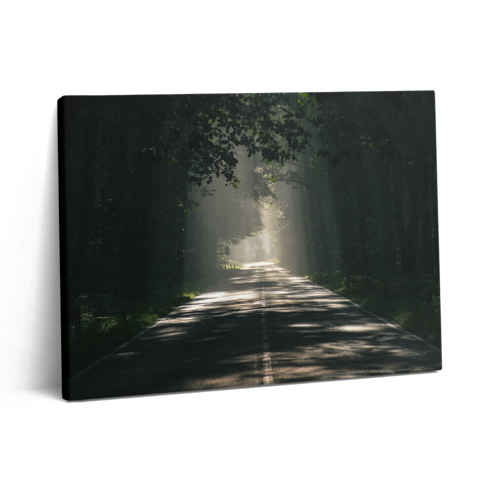 Vászonkép falra 80x60 Erdei út és napfénycsíkok