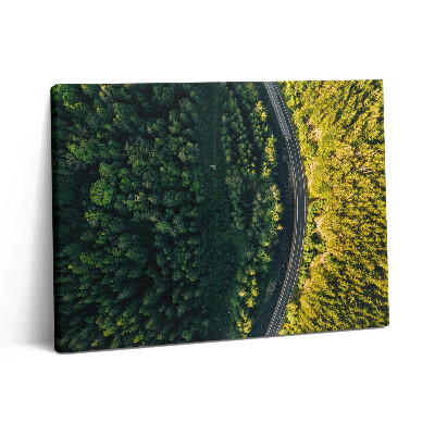 Vászonkép falra 80x60 Erdő drónról - Hóhegy