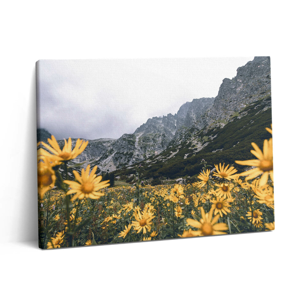 Vászonkép falra 80x60 Virágos rét a Tátrában