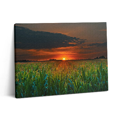 Vászonkép falra 80x60 Napraforgó a réten