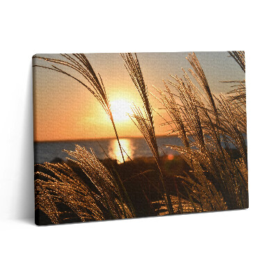 Vászonkép falra 80x60 Búza az arany órában
