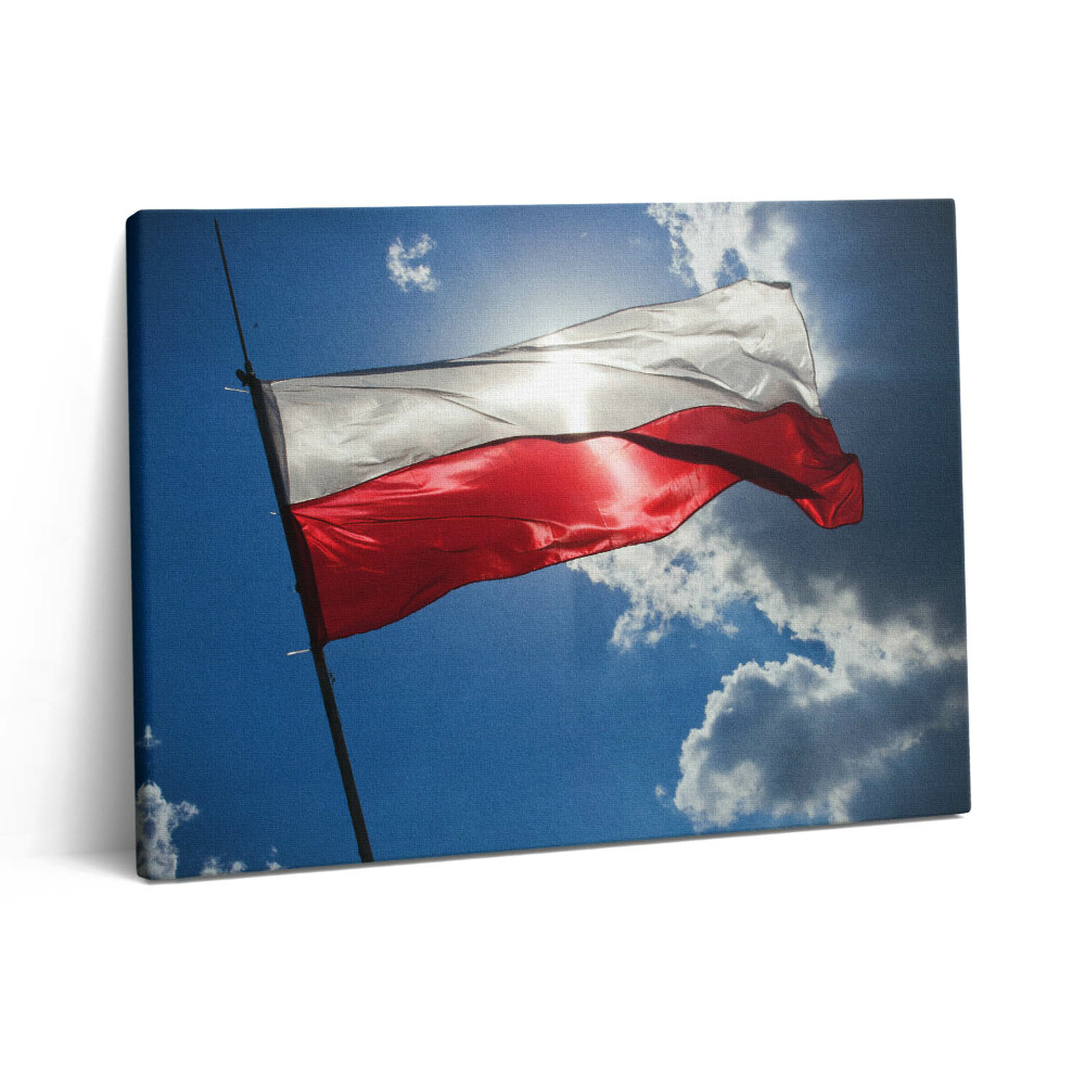 Vászonkép falra 80x60 Lengyel zászló az égen