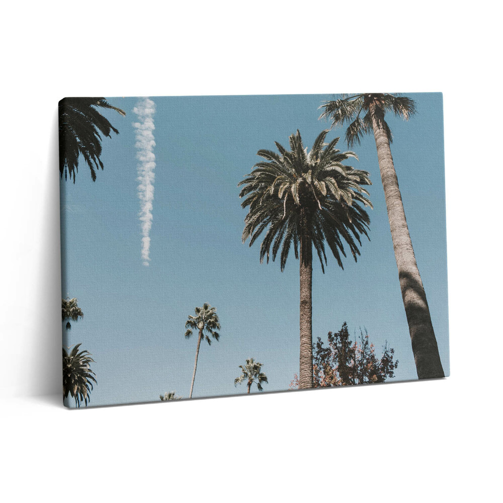 Vászonkép falra 80x60 Pálmafák Los Angelesben