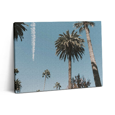 Vászonkép falra 80x60 Pálmafák Los Angelesben