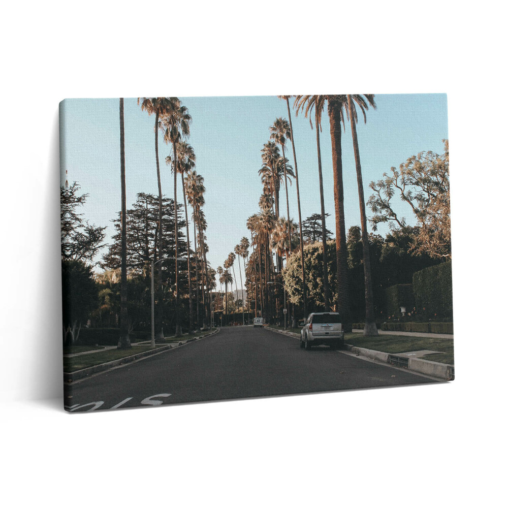 Vászonkép falra 80x60 Jármű az úton a fák között