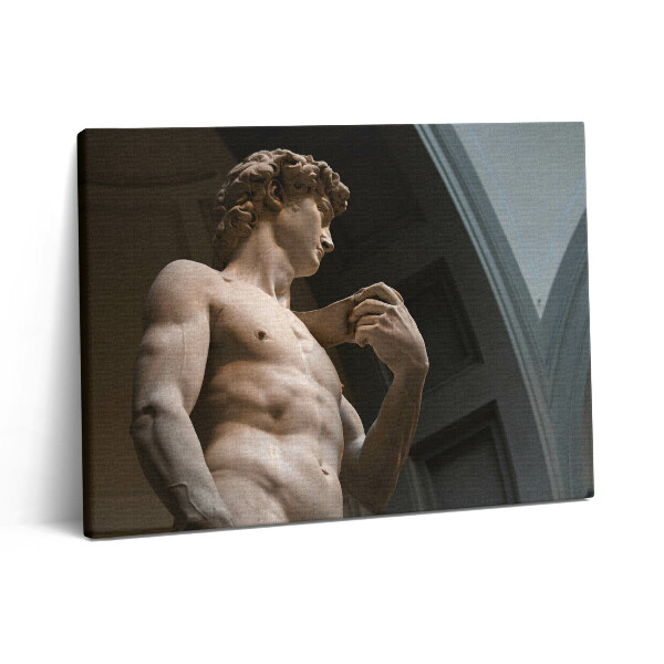 Vászonkép falra 80x60 Dávid szobra - Michelangelo