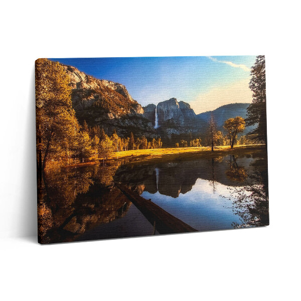 Vászonkép falra 80x60 Erdő a Yosemite Parkban