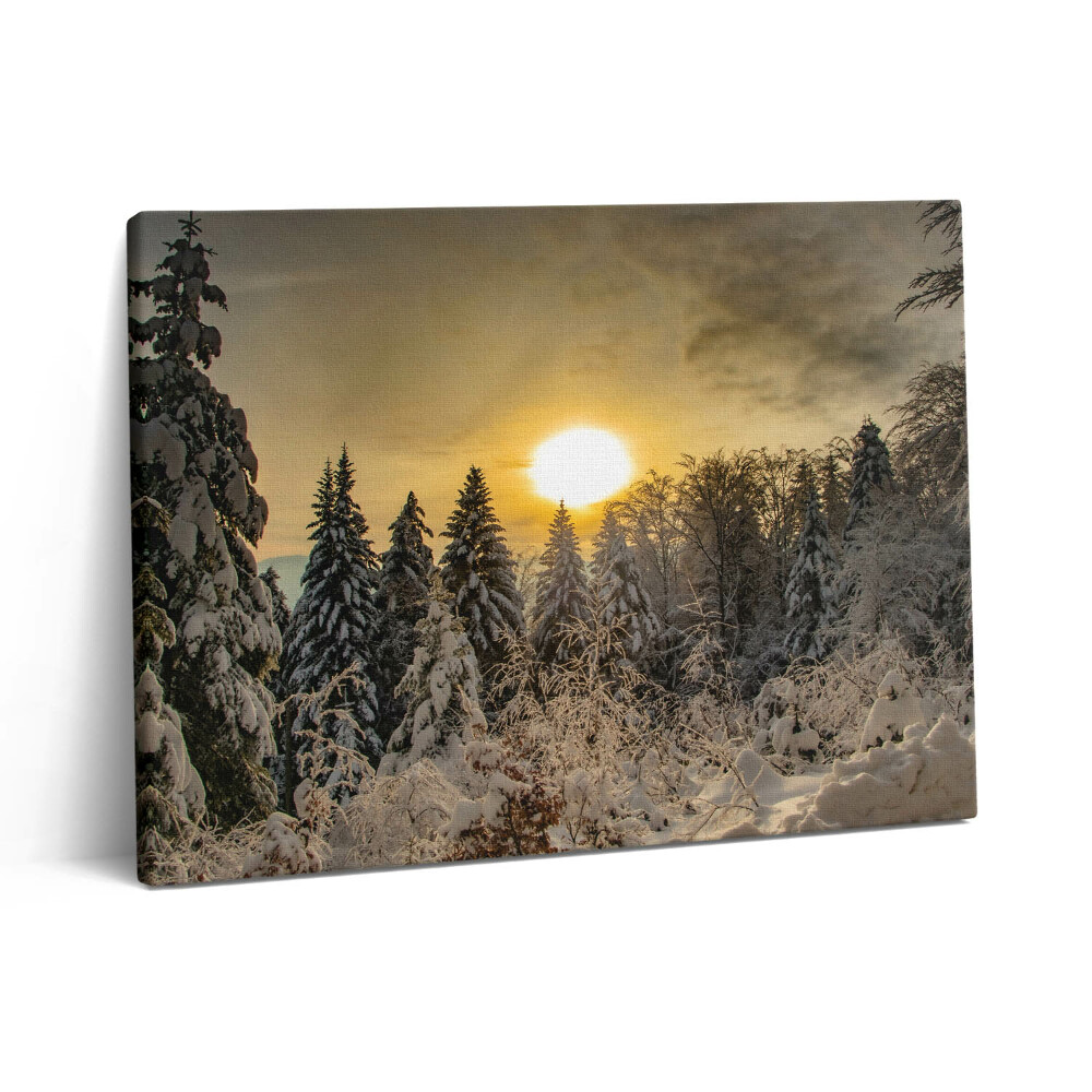 Vászonkép falra 80x60 Téli táj a Beszkidek hegységben