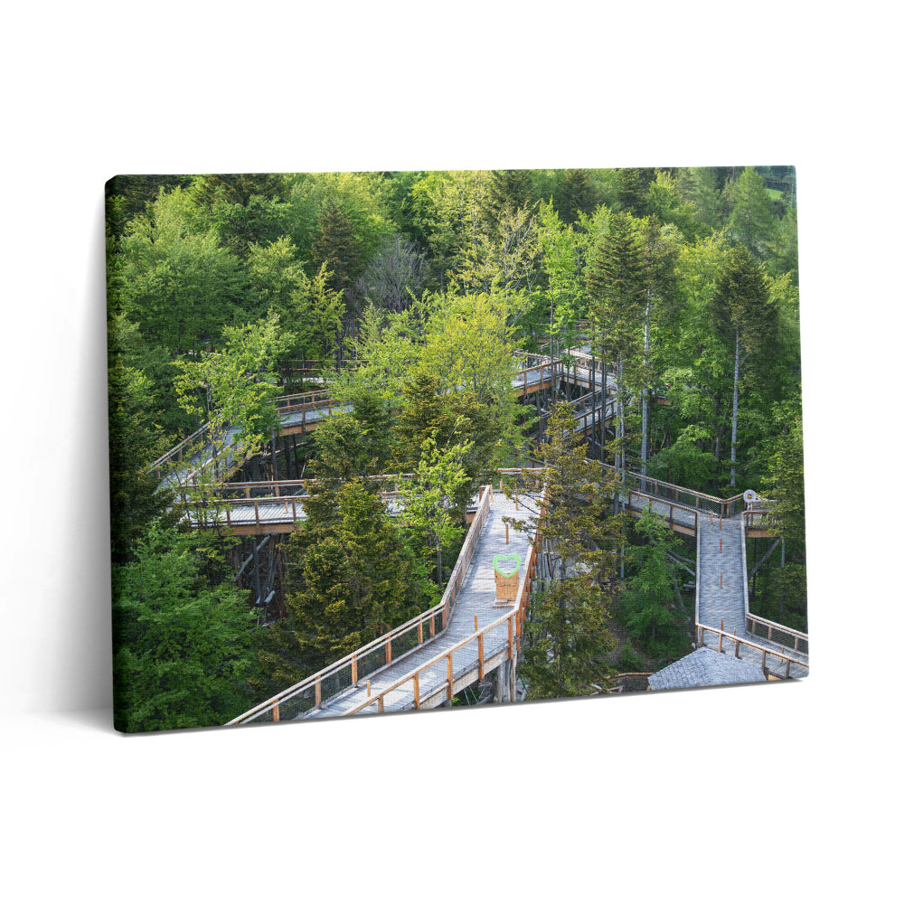 Vászonkép falra 80x60 Ösvény Krynica Zdrojban