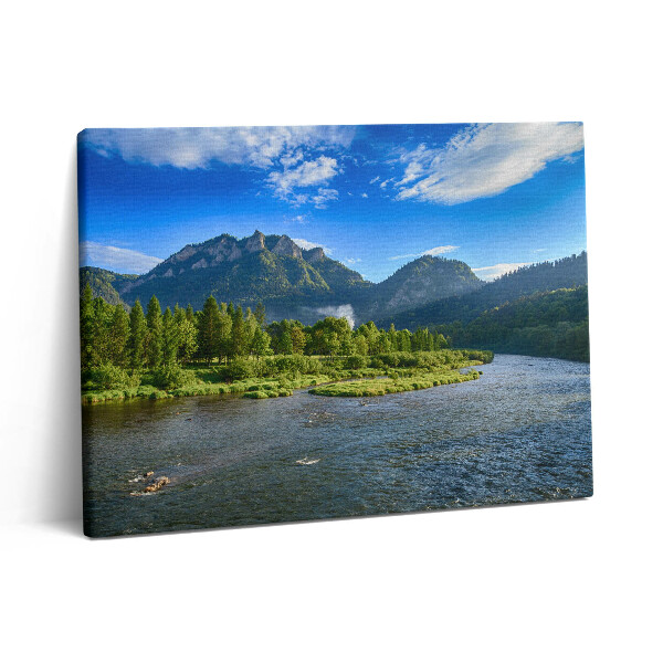Vászonkép falra 80x60 A Dunajec folyó kanyargása Pieninyben