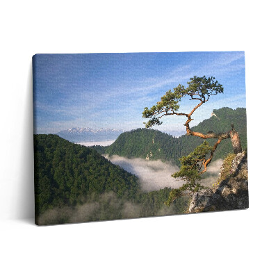 Vászonkép falra 80x60 Sokolica-csúcs Pieninyben