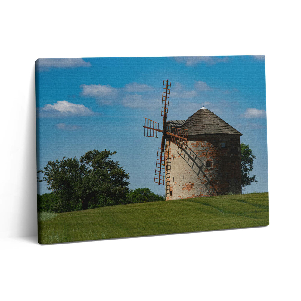 Vászonkép falra 80x60 Szélmalom Morvaországban