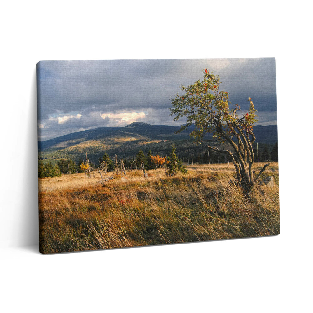 Vászonkép falra 80x60 Óriási hegyek ősszel