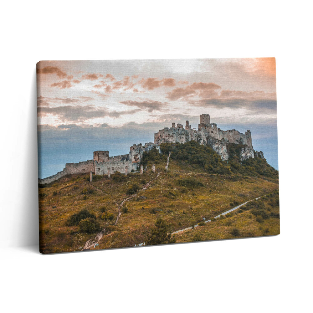Vászonkép falra 80x60 Szepesi vár Szlovákiában