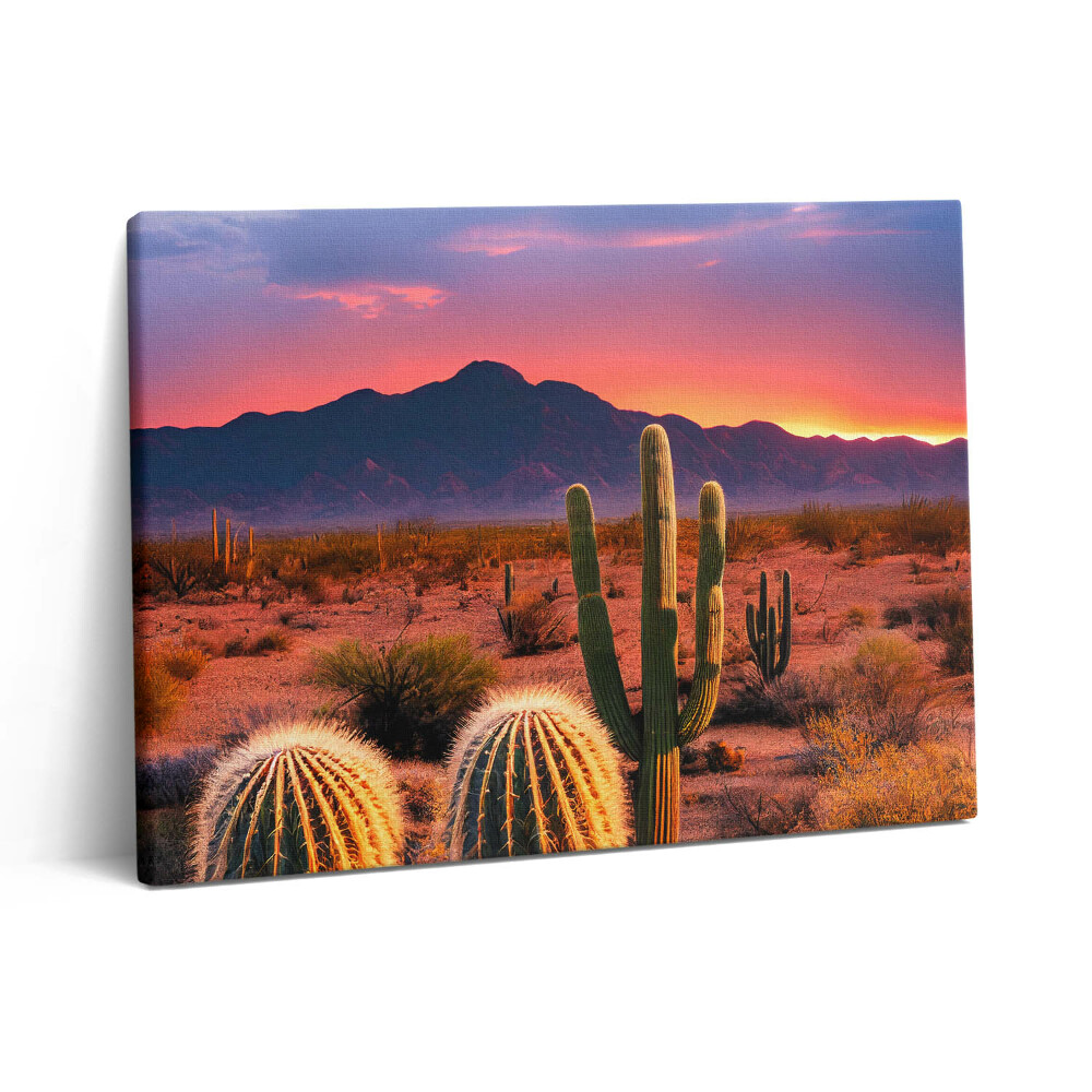 Vászonkép falra 80x60 Naplemente a sivatagban