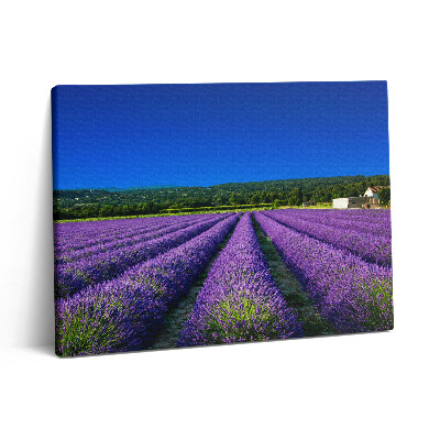 Vászonkép falra 80x60 Levendulamező Provence-ban