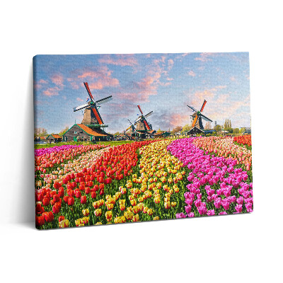 Vászonkép falra 80x60 Tájkép tulipánokkal Hollandia