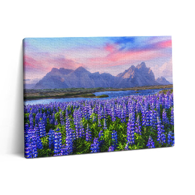 Vászonkép falra 80x60 Levendulamezők - Izland