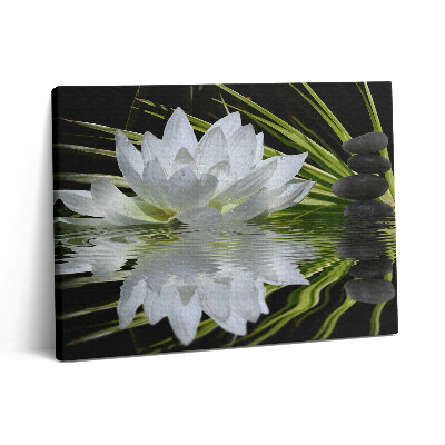 Vászonkép falra 80x60 Tavirózsa és levelek