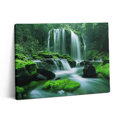 Vászonkép falra 80x60 Vízesés mohák között