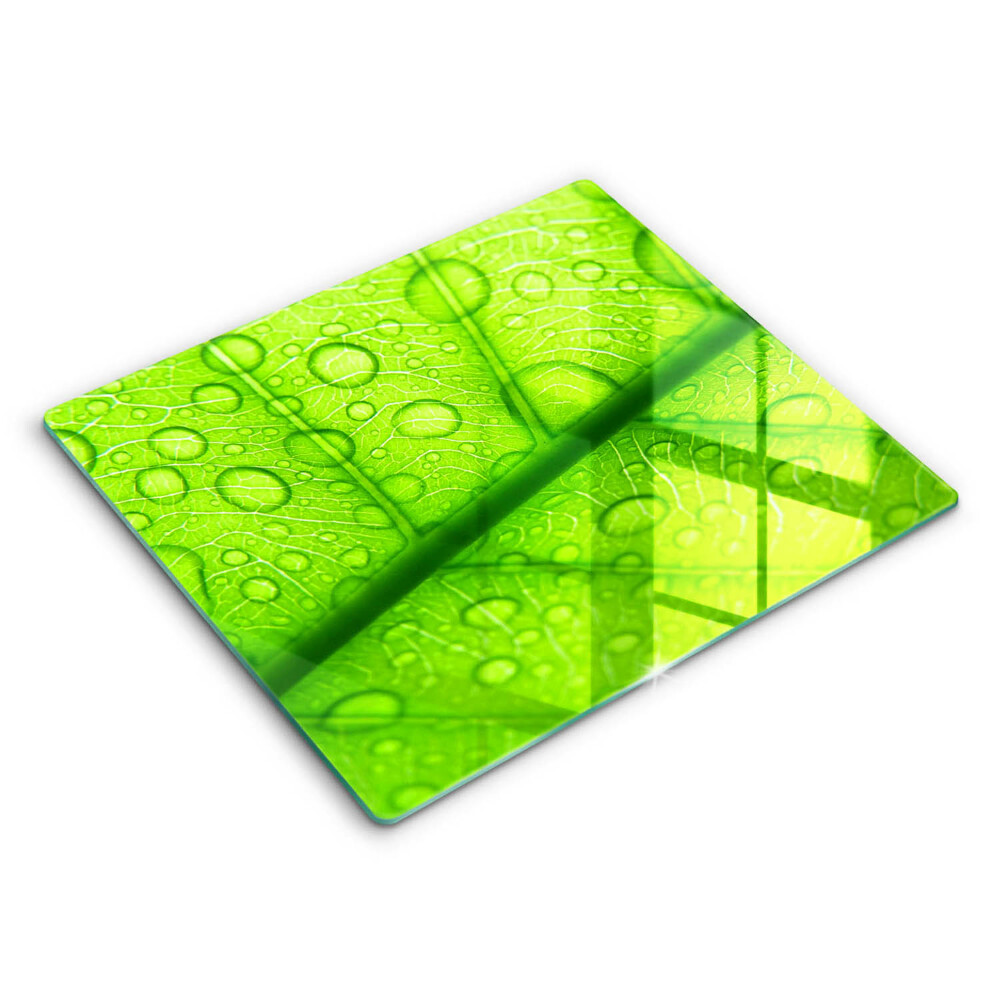 Főzőlap védő üveglap 60x52 cm Közelkép egy levélről