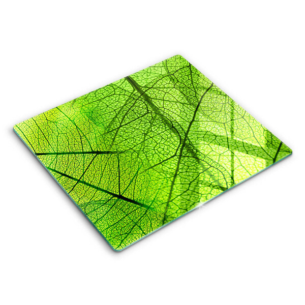 Főzőlap védő üveglap 60x52 cm Levél erek természet