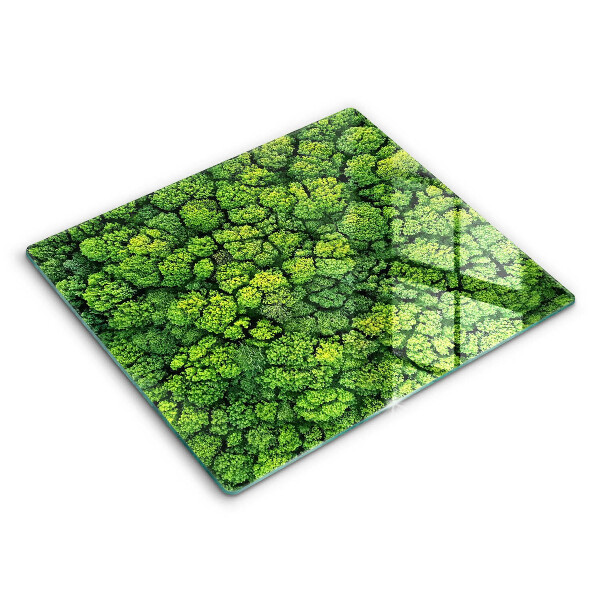 Főzőlap védő üveglap 60x52 cm Természet moha növények