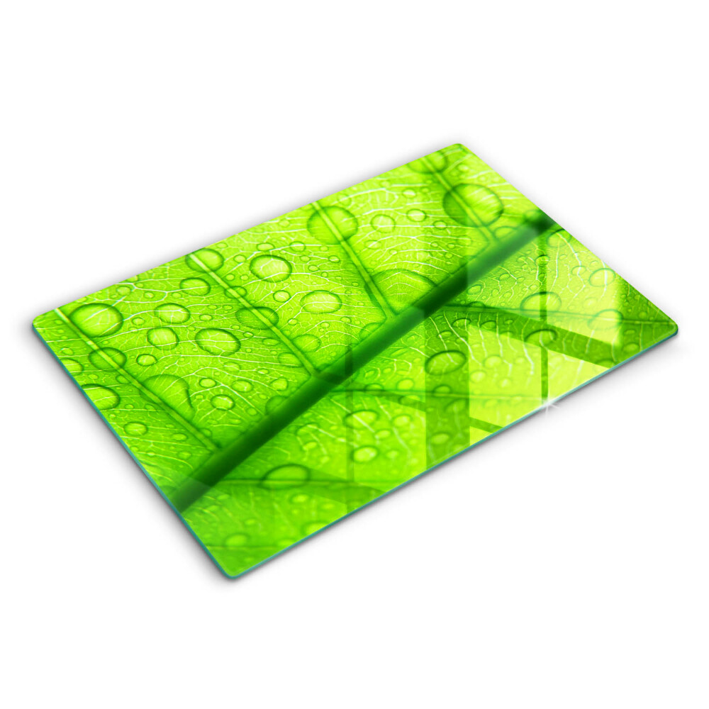 Üveg tűzhelyvédő 80x52 cm Közelkép egy levélről