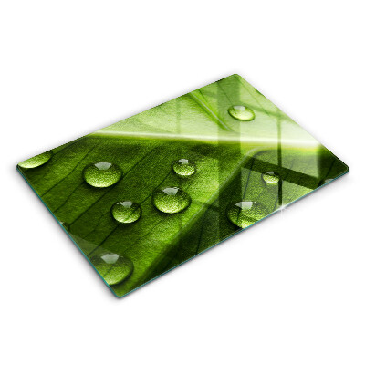 Üveg tűzhelyvédő 80x52 cm Természet harmat és levél