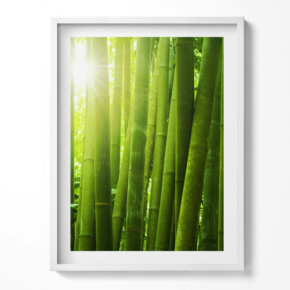 Keretezett kép Zöld bambuszszárak