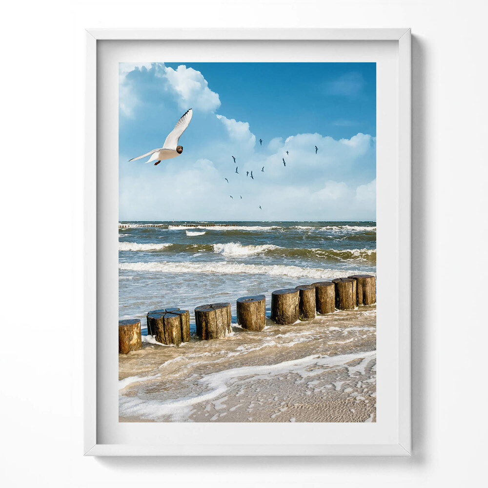 Kép keretben Madár a tengerparton