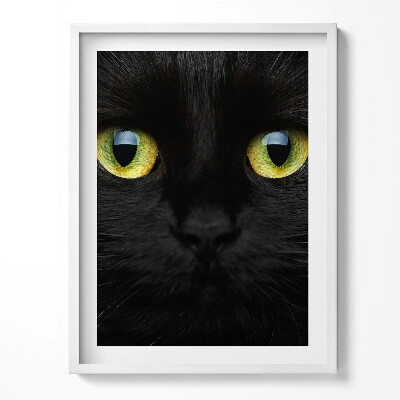 Kép keretben Állati macskaszemek