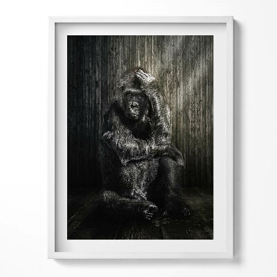 Keretezett kép Majom guggol az árnyékban