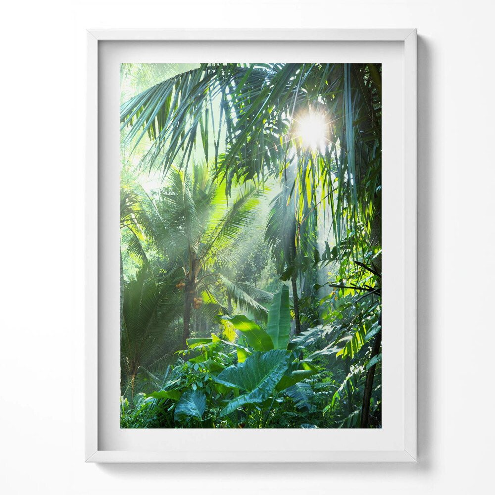 Kép keretben Zöld dzsungel tele növényekkel