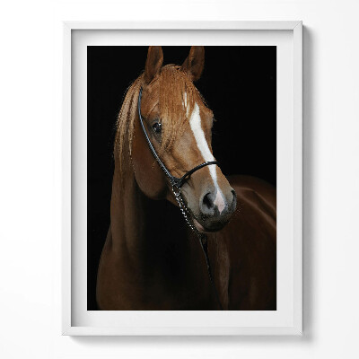 Kép keretben Barna ló