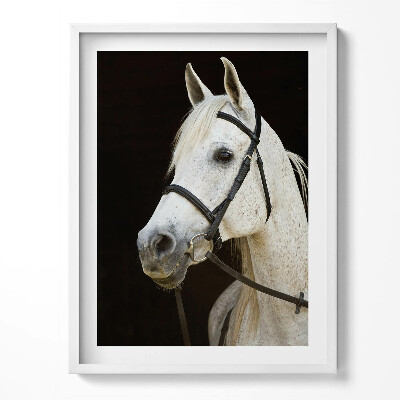 Keretezett kép Geometrikus állat koponya minta