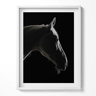 Keretezett kép Lófej fekete háttéren