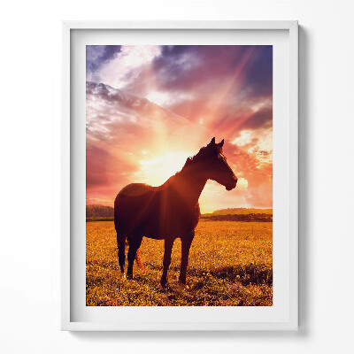 Kép keretben Ló a mezőn naplementében