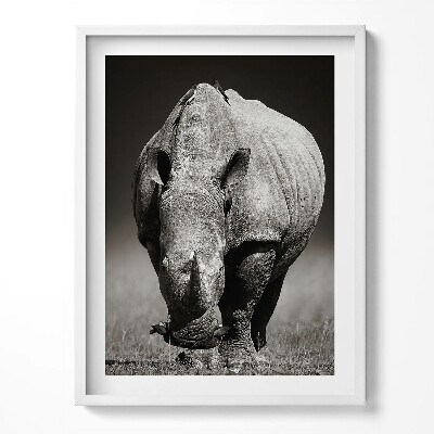 Keretezett kép Fekete-fehér orrszarvú