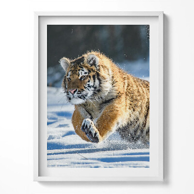 Kép keretben Finom bazsarózsa virágok