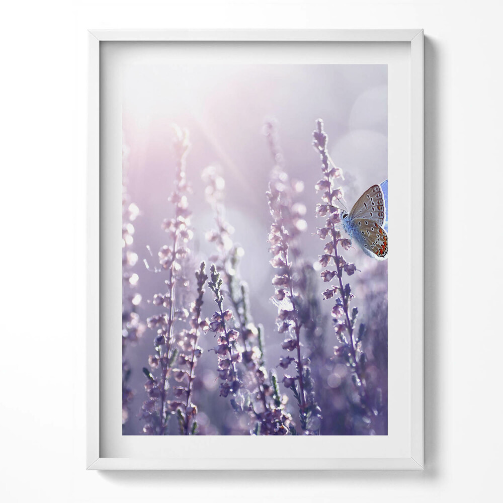 Keretezett kép Pillangó mezei virágokon