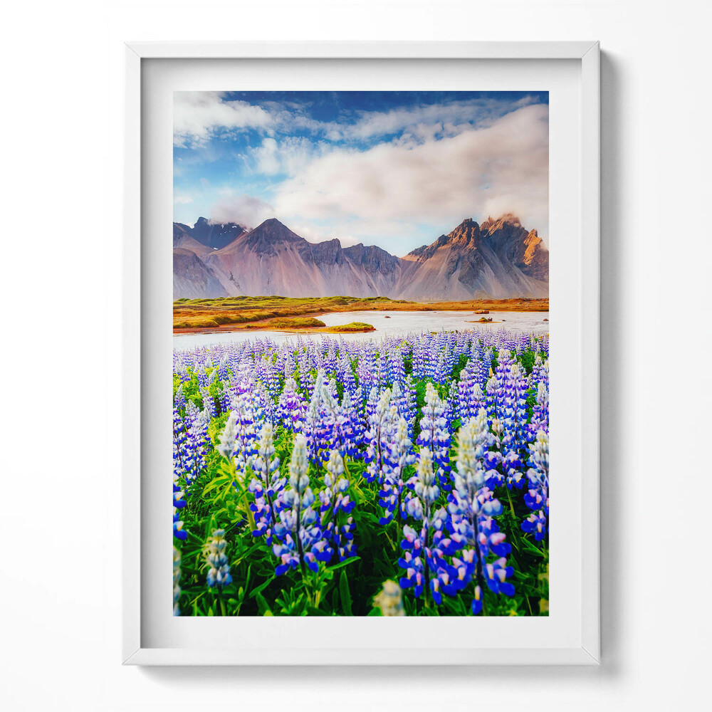 Keretezett kép Varázslatos csillagfürtvirágok