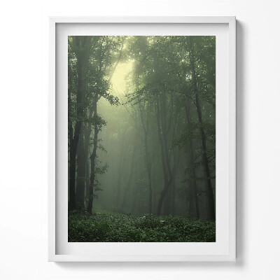 Keretezett kép Ködös erdő reggel