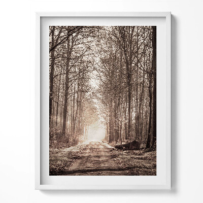 Kép keretben Erdei ösvény szepia színekben