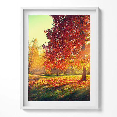 Kép keretben Őszi park