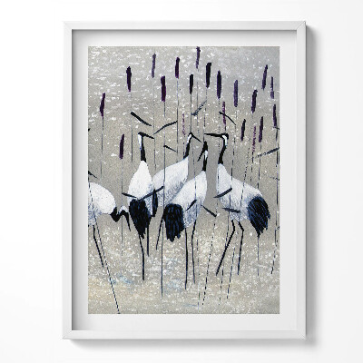 Kép keretben Daruk a nádasban