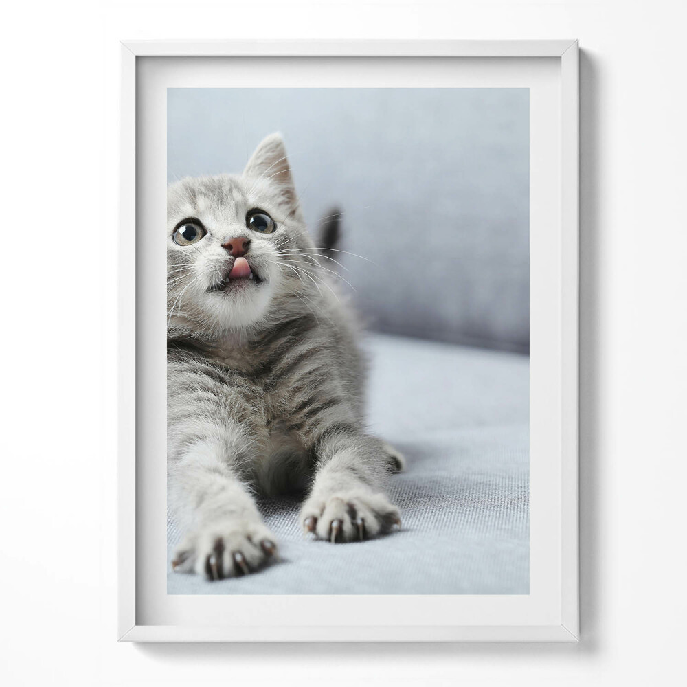 Kép keretben Cuki kismacska egy kanapén