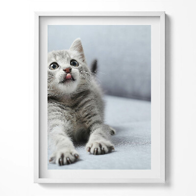 Kép keretben Cuki kismacska egy kanapén