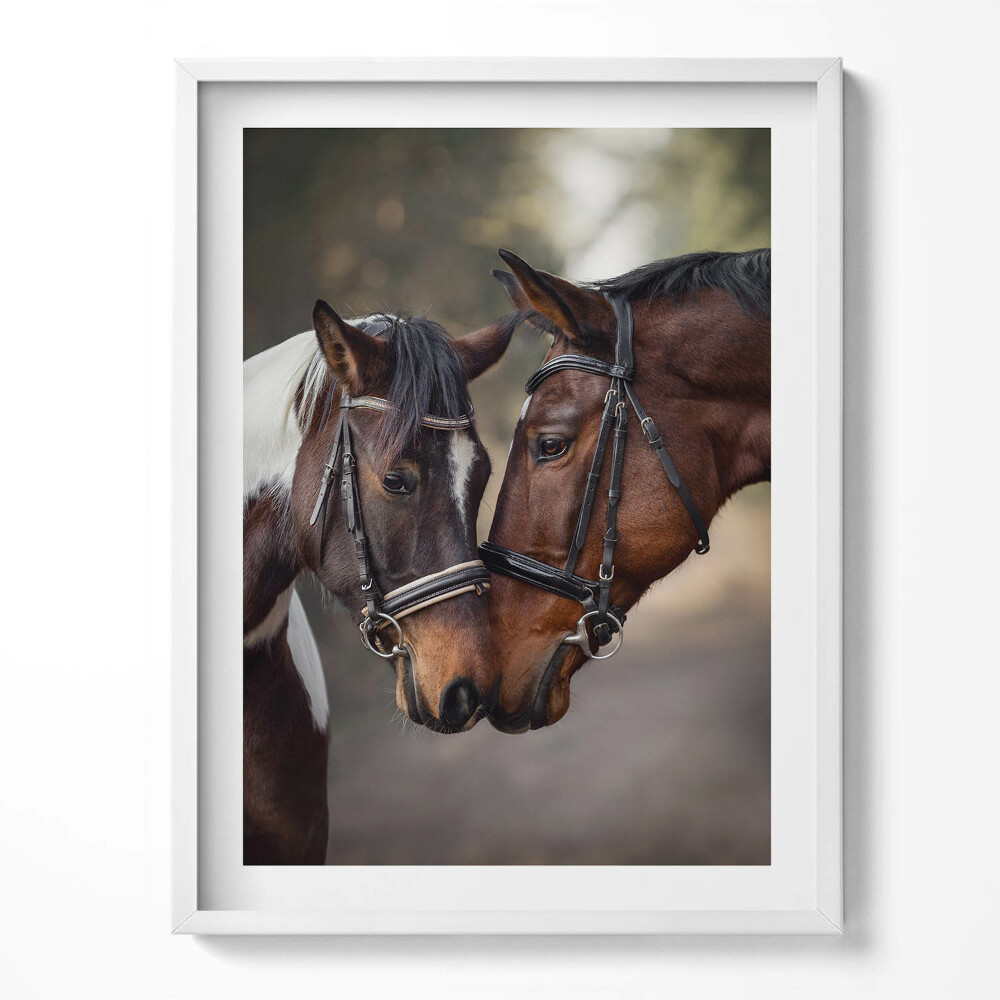 Kép keretben Lovak portréja az erdőben
